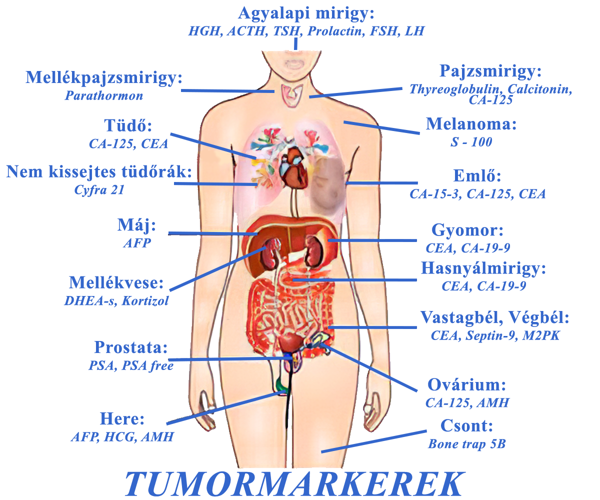 Tumormarkerek, Tumor markers